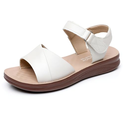 [zroflu] T_ fB[X  T_ fB[X O䋸  O A[`T|[g _炩 r RۏL LbΉ y h v }}̌C wlC EH[LO ʋ ItBX 22.5-25.5cm