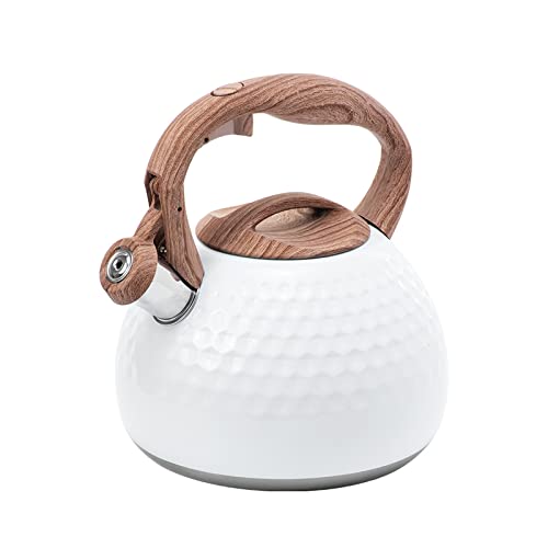 TeamSky ₩ JPg  2.8L LJ Pbg e 304XeX|~ IHΉ  ƒp 䏊pi