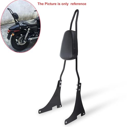 Porte-bagages rigide Sportster finition premium pour custom 883 1200