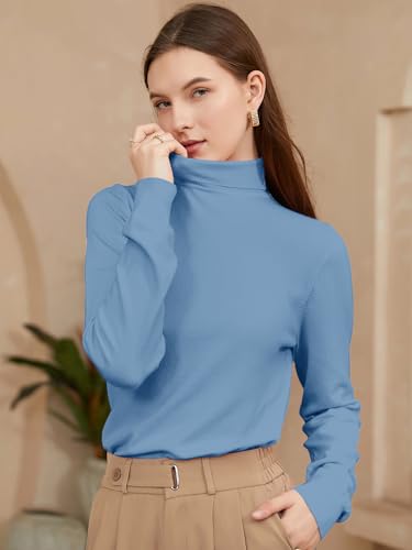 Image of DAIMIDY Turtleneck Sweaters for Women Long Sleeve Pullover Tops | Knitted Material| Soft, Warm and Breathable| High Resilience and Tensile Strength Design| Business Casual Tops| Dailywear