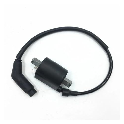 Bobine d'allumage neuve avec câble pour Linhai 260 à 550 Quad SSV EFI