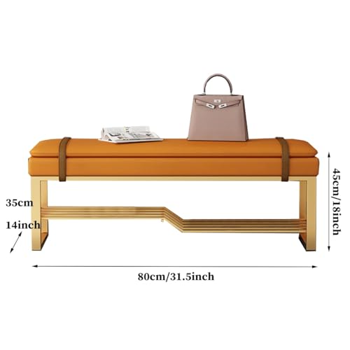 Repose-pieds tabouret rembourré avec rangement et banc à chaussures en métal