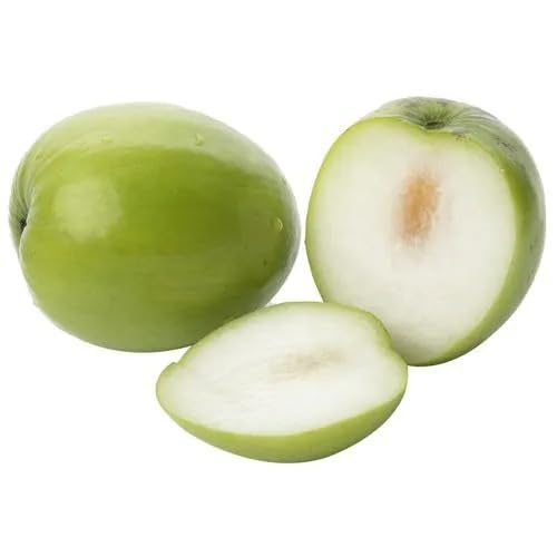 Image of Live Original Grafted Green Ber Apple Ber Tree (Next Year Get Fruits)