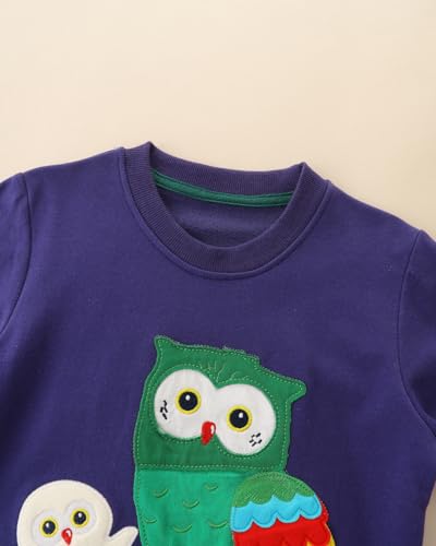 Image of Popshion Toddler Boys Sweatshirts Dinosaur Long Sleeve Pullover Crewneck Shirts Cartoon Tee Sport Tops for Kids 1-8T