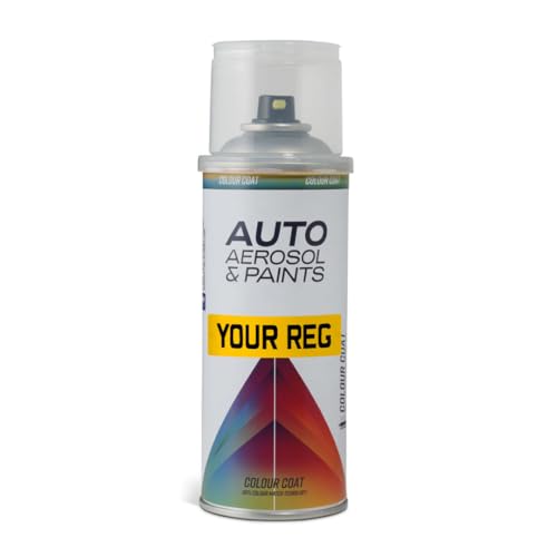Auto Aerosol 400ml Aerosol Touch Up Paint Mixed by Reg Registration Plate Car Scratch Repair Kit for All Models - Exact Match Guarantee
