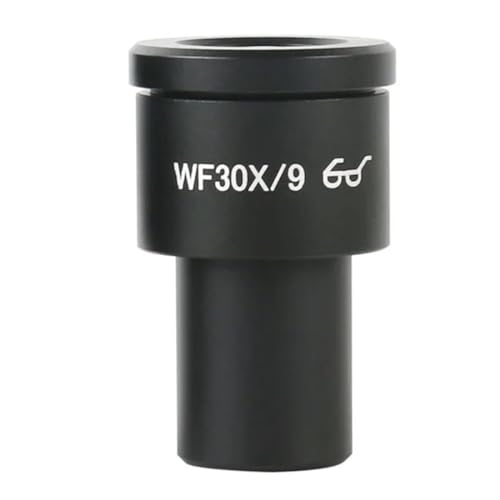 Lbg 1 /WF30X ڊ჌YANZT[a 23.2 ~[g YA_v^[