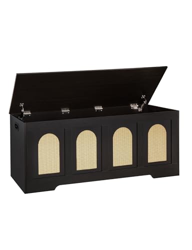 DINZI LVJ Storage Chest, 47.2