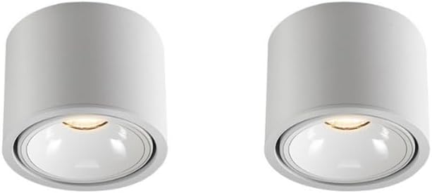 Surface Mounted LED Panel Light Ceiling Downlight Lamp Circular Aluminum LED Ceiling Lamp Exposed Downlight Living Room Ceiling Commercial Downlight Home Lighting Energy-saving Lamps Panel Light