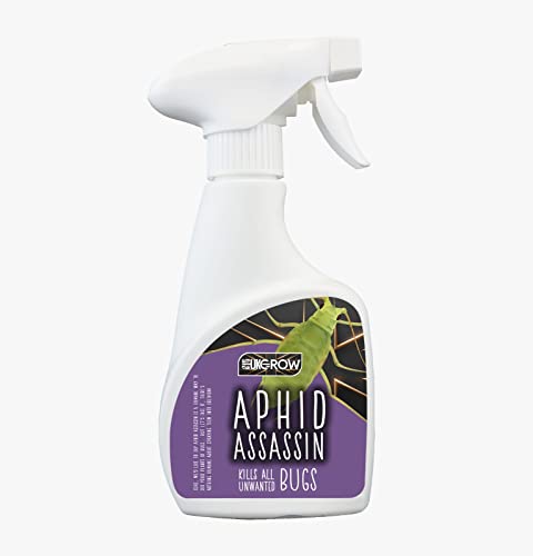 UK GROW:5L- Aphid Assassin - Powerful Insect Killer Sprays Protect Your Plants from ALL Pests- Perfect For Edible Crops (5L (Refill Bottle), Aphid Assassin)