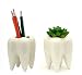 Gift Prod 2 Pcs Teeth Pots White Ceramic Succulent Planter Pots / Mini Flower Plant Containers Cute Animal Shaped Cartoon Planter Pots Plant Window Boxes (Style 11)