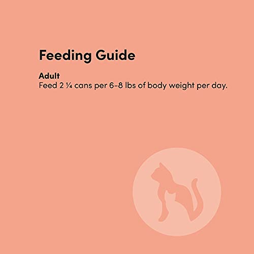 Amazon Brand - Kitzy Pate Canned Cat Food, Chicken And Rice, 3 Oz ( 24 Pack) #TOP5