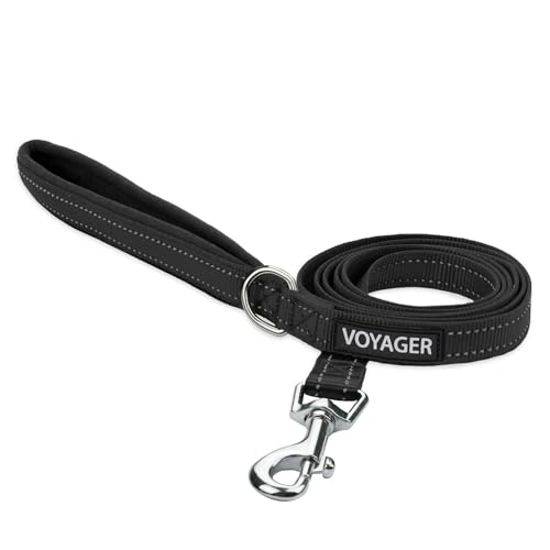 Best Pet Supplies Voyager Reflective Dog Leash, M, Black