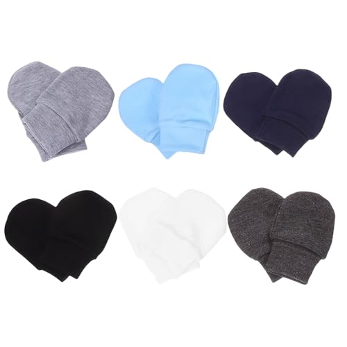 [ORFOFE] VpRbg~g ʋCƐLkh~cp jZbNXdlOo̎ی 6g