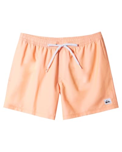 Quiksilver Men's Standard Everyday Solid 15 Volley Boardshort Swim Trunk