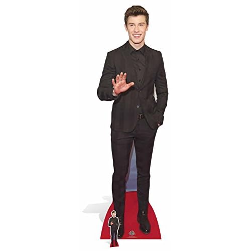 STAR CUTOUTS "Shawn Mendes (cartón, Multicolor