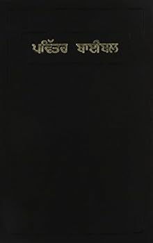 Paperback Punjabi C.L. Bible / Common Language Version [Punjabi] Book