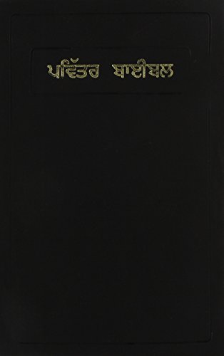 Punjabi C.L. Bible / Common Language Version