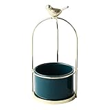 Jeder Topf für Pflanzen ist mit einem Loch an der Unter- und Loch-Mesh-Pad, um den Boden aus dem Auslaufen zu stoppen.