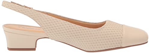 Image of Trotters
