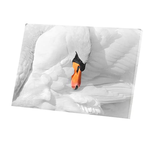 Toile imprimée macro cygne endormie blanc tableau 59x40