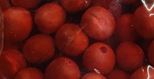 Y@~@S@Е@1kg×10PiP490j@bBY@퉷@Ɩp