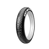 Cicli Puzone - Cubierta para bicicleta 20 x 4.0 C1752 (100 – 406) neumático para bicicleta eléctrica Fat Bike E-Bike 20 x 4.00