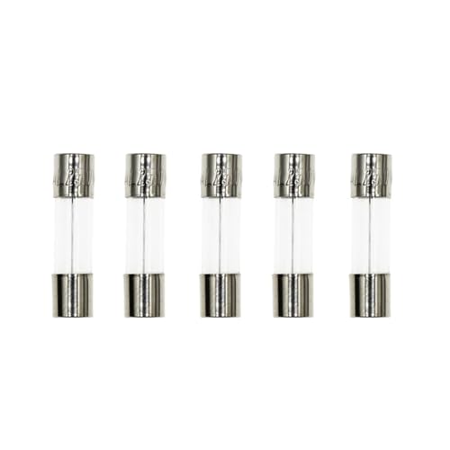 Fusible de tubo de vidrio rápido con filamento de alta sensibilidad 1A 250V en formato 6x30mm