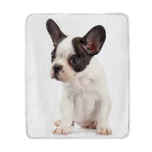 French Bulldog Puppy Throw Blanket For Sofa Couch, Soft Cozy Warm Bed Blankets Gift For Kids Adults Girl Boys 50 X 60 In #TOP18