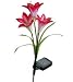 Hearts Shop Solar Powered Outdoor LED Color Changing Waterproof Lily Flower Garden Light Lawn Lamp for Yard Decoration (Red)