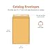Amazon Basics Catalog Mailing Envelopes, Peel and Seal, 9x12 Inch, Brown Kraft, 100-Pack