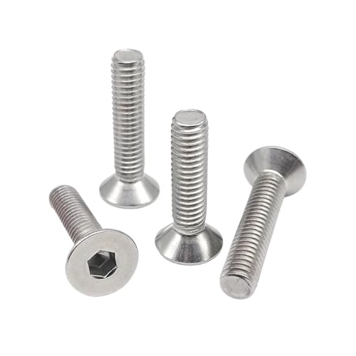 RUOHARD M2 M2.5 M3 M4 M5 M6 M8 ZptMZp{g ˂ 304 A2 XeX|  O[h10.9 |(304 stainless steel,50pcs M2.5x16mm)