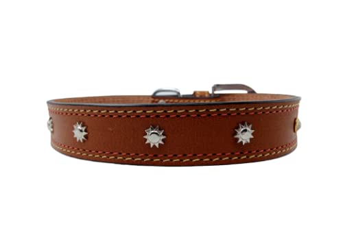 Forever99 Pet Shop Studded Leather Dog Collar Neck Belt For All Stage Breeds Medium 15 To 18 Inch Neck For Fit Art#-67,Tan (B0841PHPSR) Amazon Price History, Amazon Price Tracker