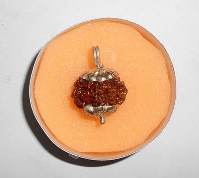 7 मुखी रुद्राक्ष ओरिजिनल 7 Mukhi Rudraksha Nepali Brown Beads Natural Seven Face Rudraksh Saat Mukhi Rudraksh Original Certified by Lab Blessed Goddess Lakshmi