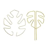 XFSRG