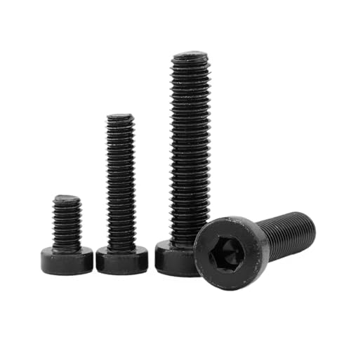 Zp\Pbg^V[gvt@CLbvwbh{glW M3 M4 M10 M12 12.9O[hYf|ZpLbvwbhlW(30mm,M5 20pcs)