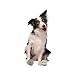 Disney Star Wars JPT1311 Grogu und Mandalorianer Plüschspielzeug für Hunde 2er-Pack – Zwei 9 cm große Plüschspielzeuge mit Quietscher