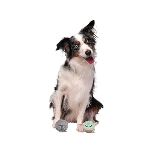 Disney Star Wars JPT1311 Grogu und Mandalorianer Plüschspielzeug für Hunde 2er-Pack – Zwei 9 cm große Plüschspielzeuge mit Quietscher