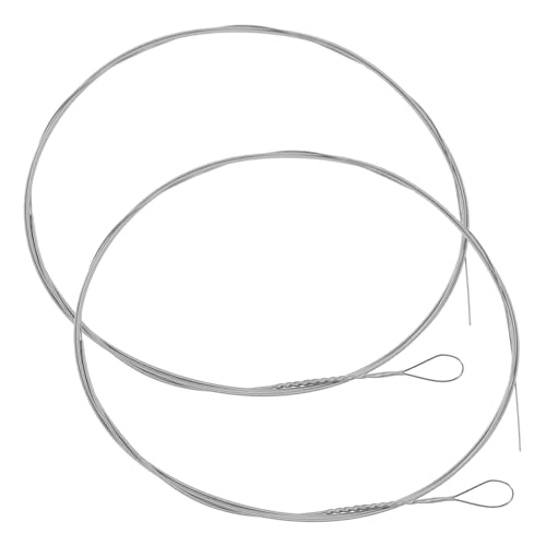 HEMOTON Universal Dulcimer Strings 2pcs Steel Strings for Dulcimer Longevity for Players