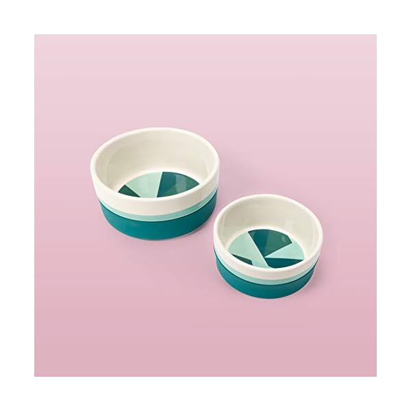 Now House for Pets by Jonathan Adler Green Chroma Duo Bowl, Small | Dishwasher Safe, Easy to Clean Dog Bowl with Anti-Skid Lid | Dual Functionality Bowl for Dogs for Storage or Travel Now House for Pets by Jonathan Adler Green Chroma Duo Bowl, Small | Dishwasher Safe, Easy to Clean Dog Bowl with Anti-Skid Lid | Dual Functionality Bowl for Dogs for Storage or Travel