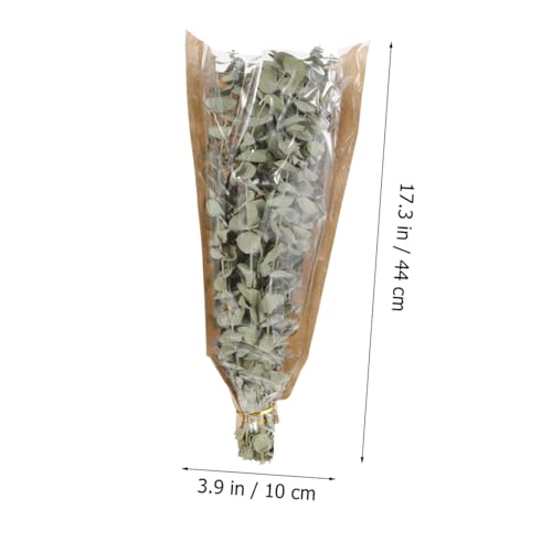 Ramo de eucalipto seco para ducha y decoración miniatura 2