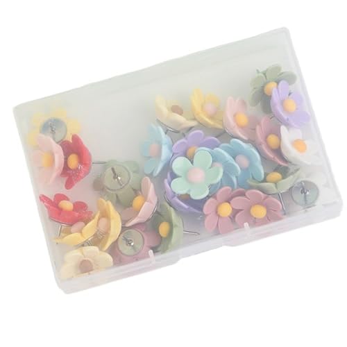 20/30pcst[wbhvbVsh[CORNʒm{[hfBXvĈ߂̐ew̃^bN