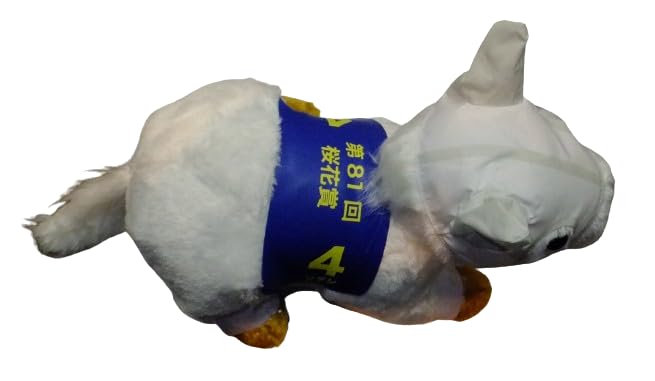ソダシ ぬいぐるみ 約30cm Amazon.co.jp: 競馬 白馬 ソダシ ぬいぐるみ 30cm 黒メンコ