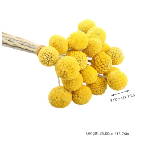 Alipis 30pcs Flores Secas Amarillas Craspedia miniatura 2