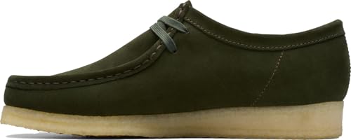Clarks mens Casual2