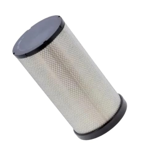 Élément filtrant P532510 à haute capacité de rétention de poussière