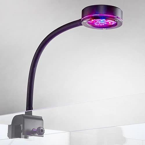 Pico Refugium LED Light Marine Addict (B09F4N624S) Amazon Price History, Amazon Price Tracker