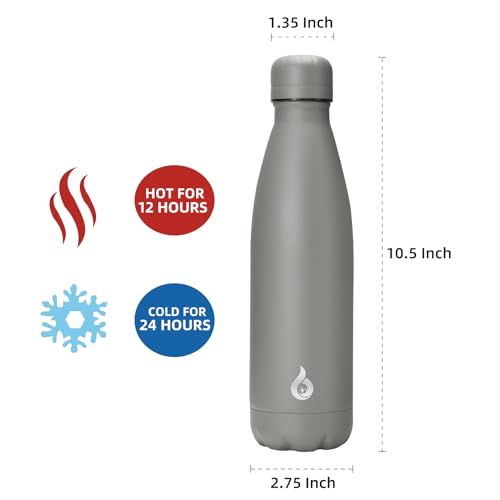 Image of BJPKPK Insulated Water Bottle 17oz Stainless Steel Water Bottles,Gray