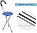 bastón para Trípode con Asiento bastón con Silla para Caminar Plegable bastón Ortopédico Taburete Mango Ergonómico para Personas De Mediana Edad Y Ancianos para Caminar Imagen de bastón para Trípode con Asiento bastón con Silla para Caminar Plegable bastón Ortopédico Taburete Mango Ergonómico para Personas De Mediana Edad Y Ancianos para Caminar