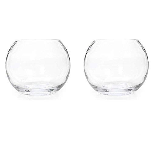 Hosley Set of 2 Glass Bowl 6