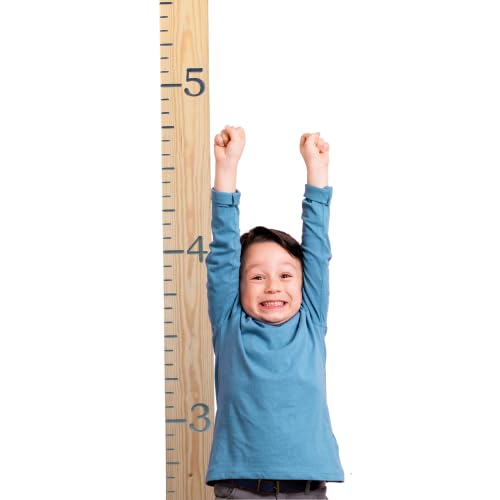 How to measure your dog's height